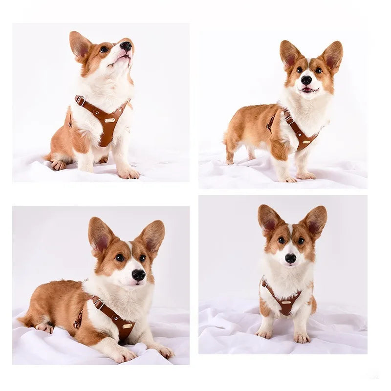 S3f4fa572ac2f4a8c862f9f411ba5ff6f6