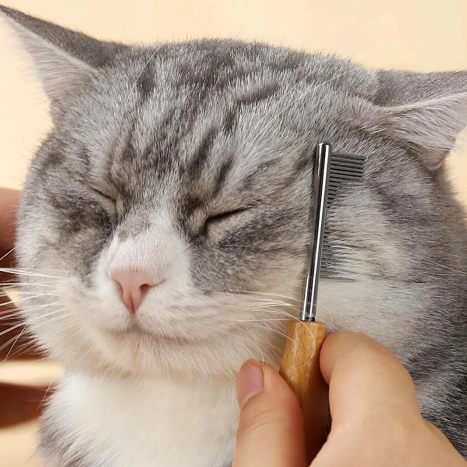 S476e03c59c984eb0be703684bc95a95a6