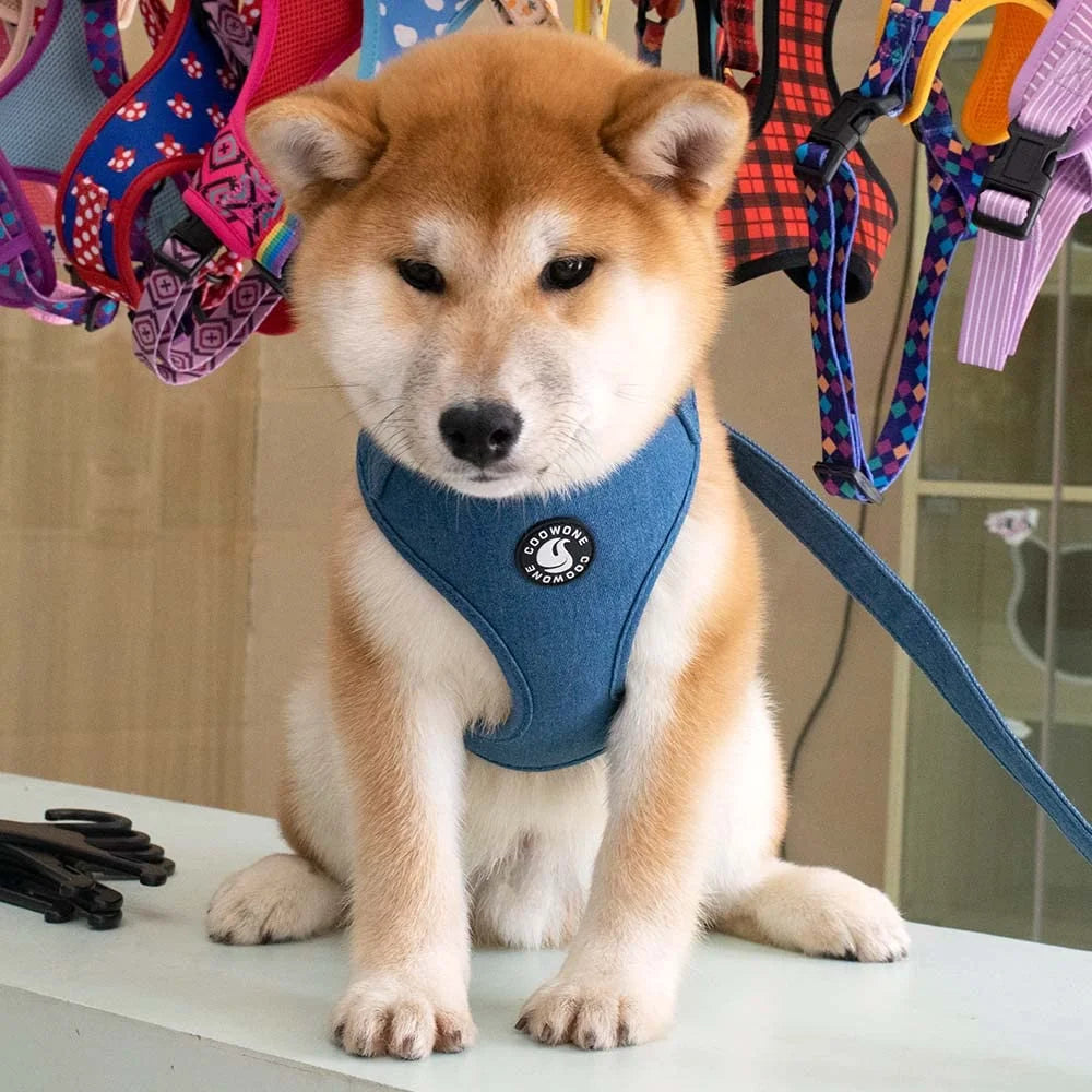 S563faba369f84a139042dab5ec874d19u