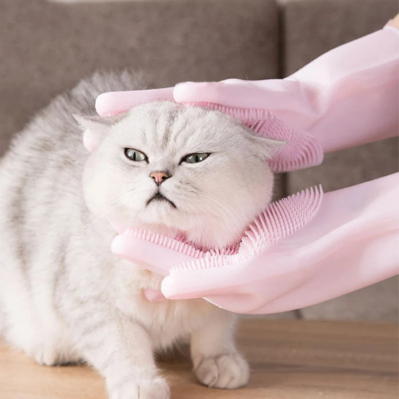 S6a8003512bf249c5b1b3ef8c672d33bcf