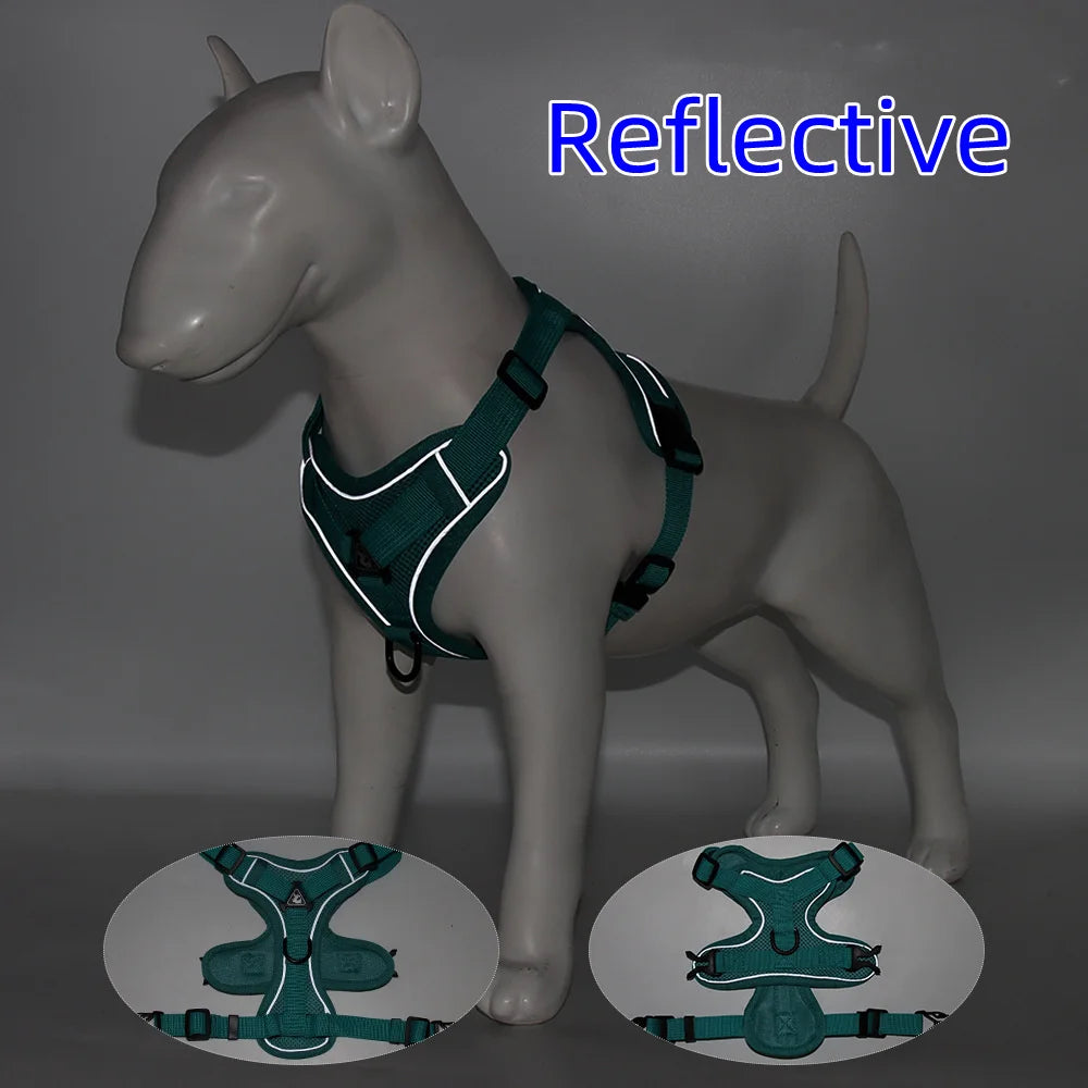 Sc1fd60ad3ad84a559ab86006f9bb882b0