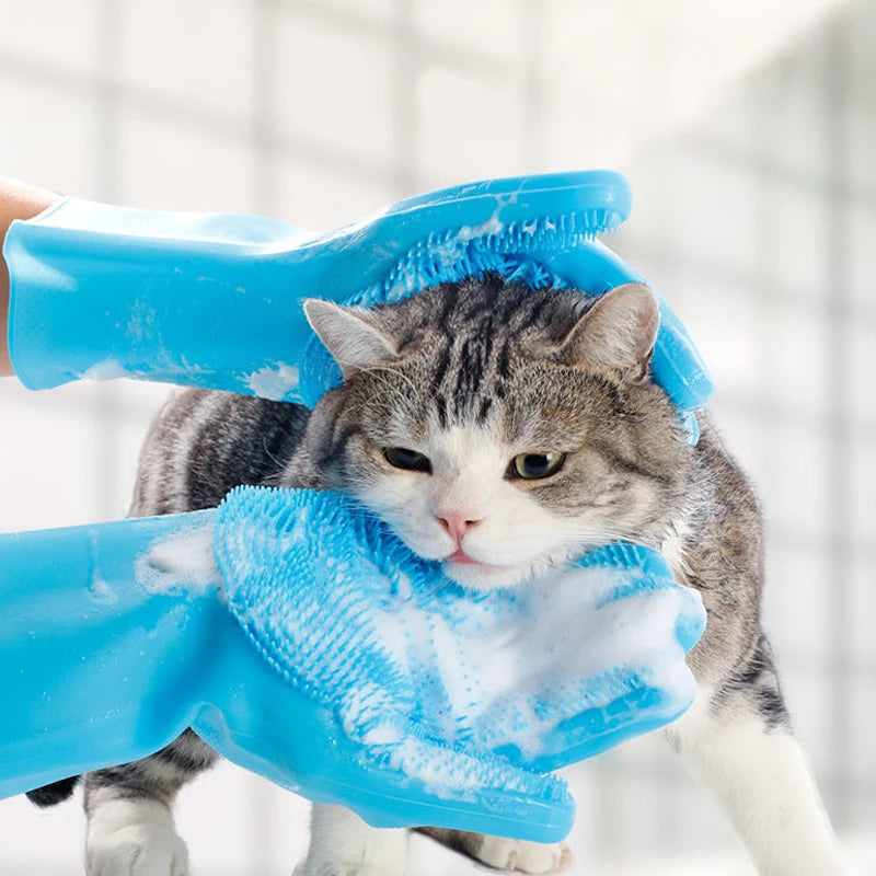 Sc8324ae2b53342269a421be5db034187M