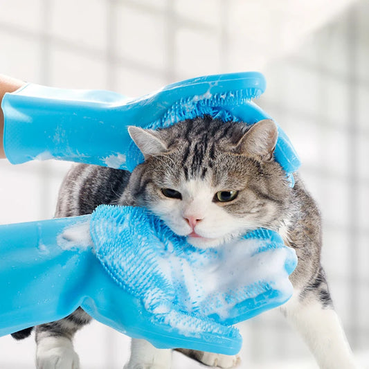 Sc8324ae2b53342269a421be5db034187M