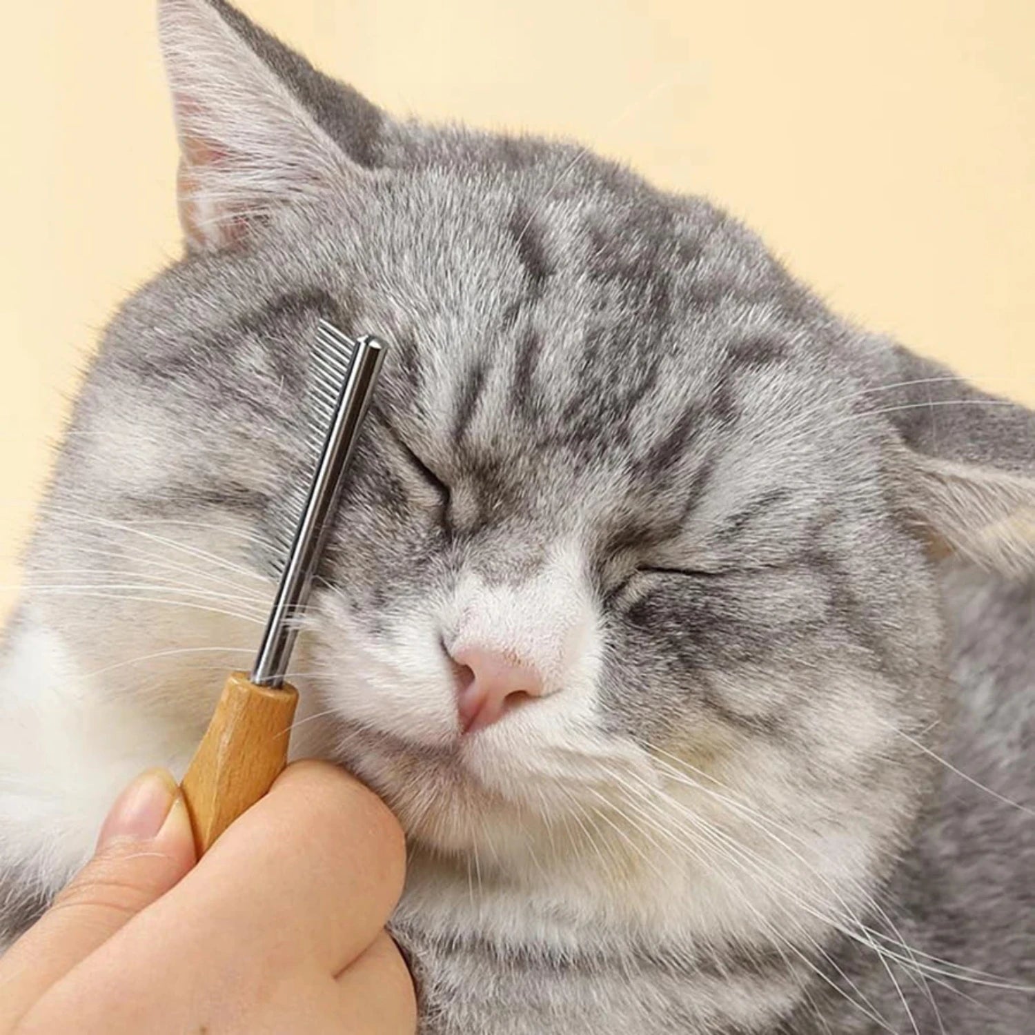 Sf23d2c794d084471bcd30593d70793dc1